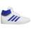 Cloud White / Team Royal Blue / harmaa kaksi