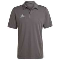 Adidas Entrada 22 Short Sleeve Polo Harmaa XL / Regular Mies