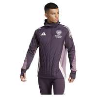 Adidas Arsenal Tiro 24 Winterized Sweatshirt Musta M Mies