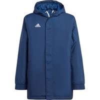 Adidas Ent22 Stadium Jacket Sininen 15-16 Years Poika