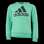 Adidas Boys Essentials Hoodie med stor logotyp Semi Screaming Grön/Svart